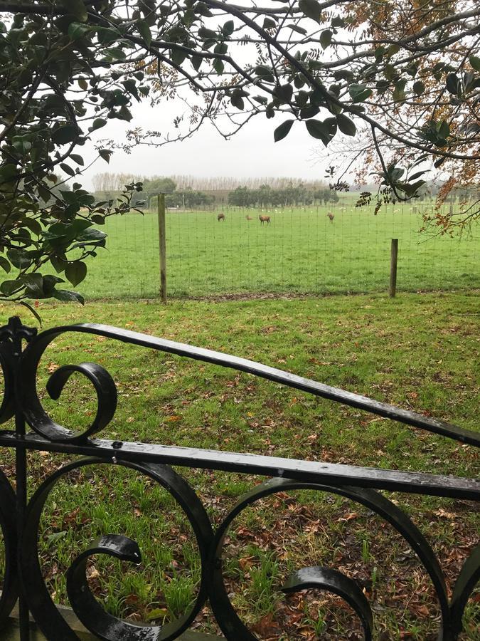 Mcivor Lodge Invercargill Kültér fotó