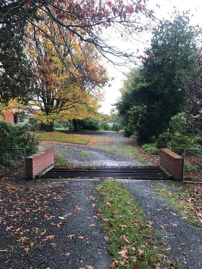 Mcivor Lodge Invercargill Kültér fotó